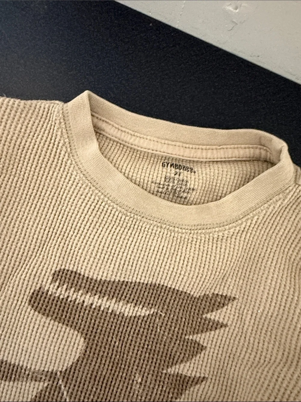 Gymboree Tan Waffle Knit Dinosaur Top